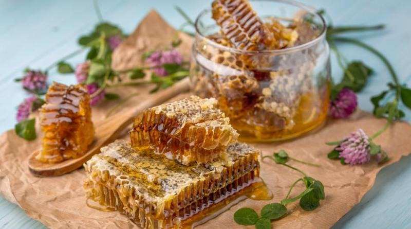 عسل وحشی کرمانشاه با کیفیت طبیعی از دل زاگرس